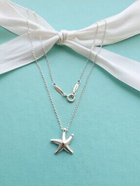 Tiffany & Co. | Jewelry | Tiffany Puff Star Necklace Silver | Poshmark